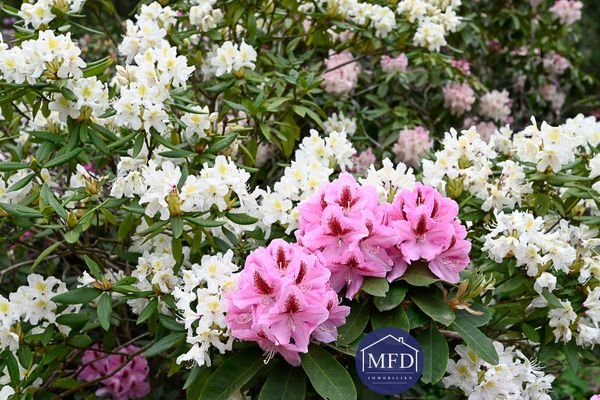 4-Blumenbeetvorschlag.jpg