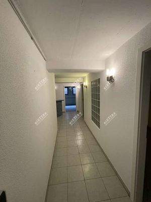 ARI-10952-EG-UG-Gang-1