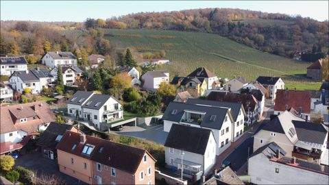 Alzenau in Unterfranken / Hörstein Häuser, Alzenau in Unterfranken / Hörstein Haus kaufen