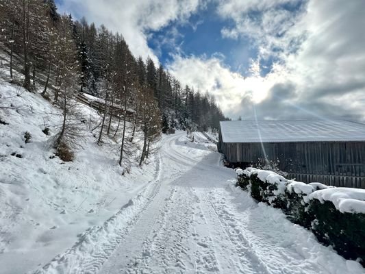 Geschlossener-Hof-maso-chiuso-Sarntal-Sarentino-Reinswald-Wirtschaftsgebäude-Garage-Landwirtschaft-Agricoltura-Wiese-Wald-Weide-prato-bosco-Haus-Rohbau-Vierzimmerwohnung-quadrilocale-Ruhe-Urlaub-Bauernhof-Keller-cantina-Wasserquelle-Sonnenkollektoren