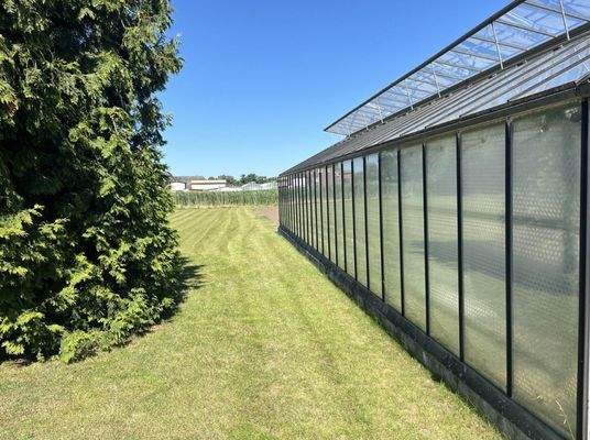 Sehr gepflegtes Grundstück