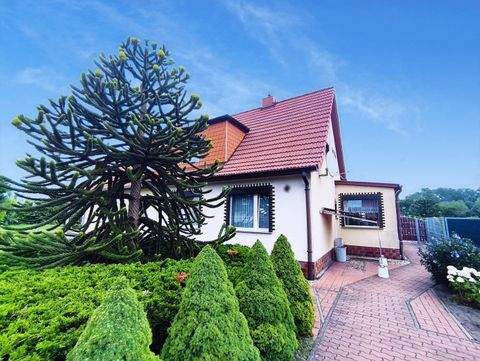Stendal Häuser, Stendal Haus kaufen