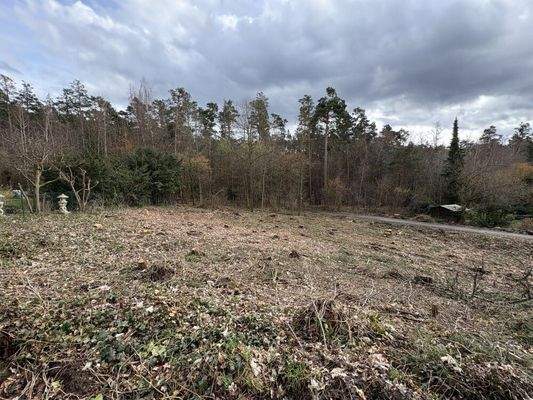 Baugrundstück Röttenbach 014