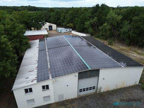 Weisen Halle, Weisen Hallenfläche