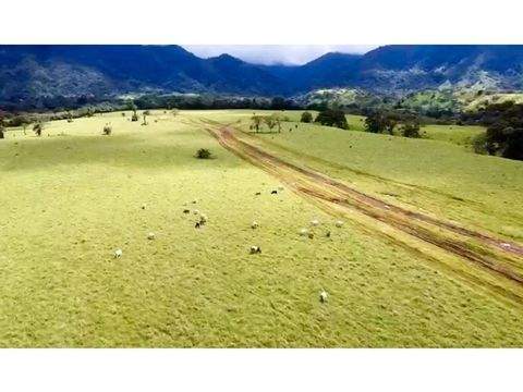 Veraguas Grundstücke, Veraguas Grundstück kaufen