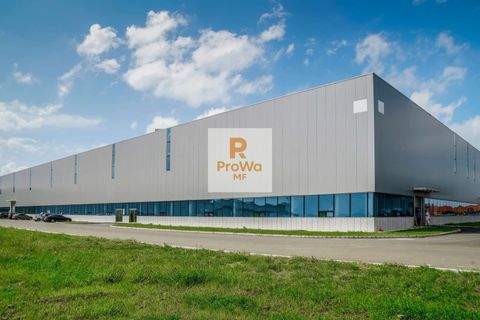 Karlsdorf-Neuthard Halle, Karlsdorf-Neuthard Hallenfläche