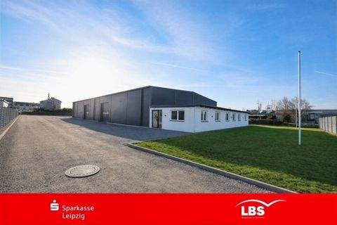 Schkeuditz Halle, Schkeuditz Hallenfläche