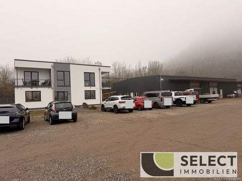 Schiffweiler Renditeobjekte, Mehrfamilienhäuser, Geschäftshäuser, Kapitalanlage