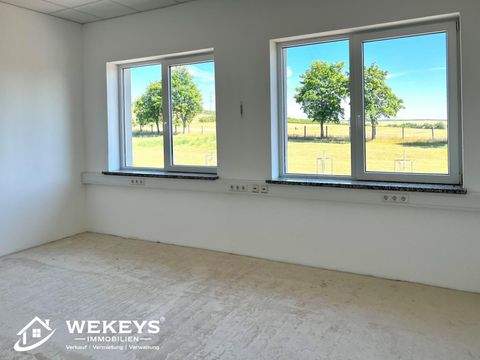 Ollendorf Halle, Ollendorf Hallenfläche