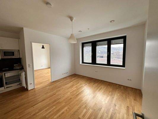 Küche-Eßzimmer-Wohnzimmer