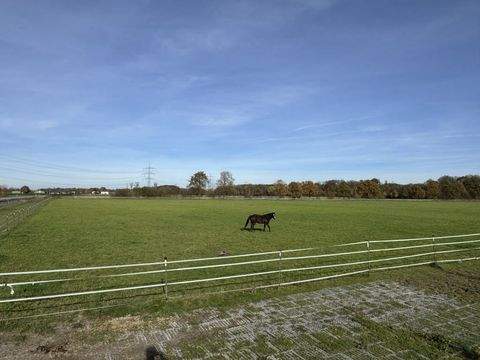 Renchen Bauernhöfe, Landwirtschaft, Renchen Forstwirtschaft