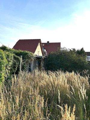 Blick aus dem Garten zum Haus