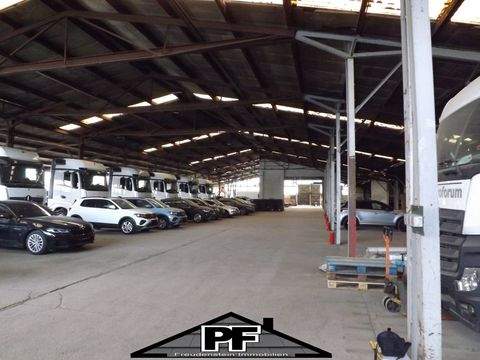 Lengede Halle, Lengede Hallenfläche