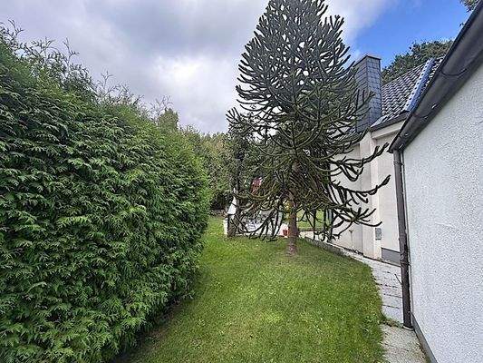 Weg zum hinteren Garten