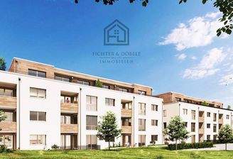 Visualisierung des Projekts