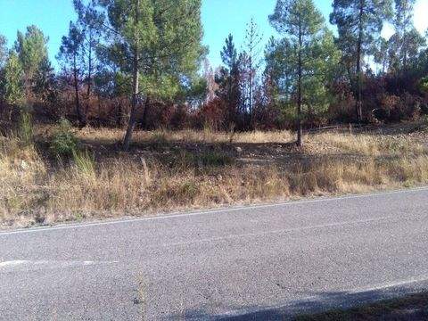 Mação Grundstücke, Mação Grundstück kaufen