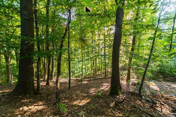 Grundstücksumgebung