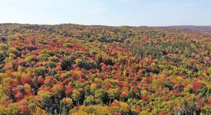 Nova Scotia - West Side Country Harbour - 52-Hekta