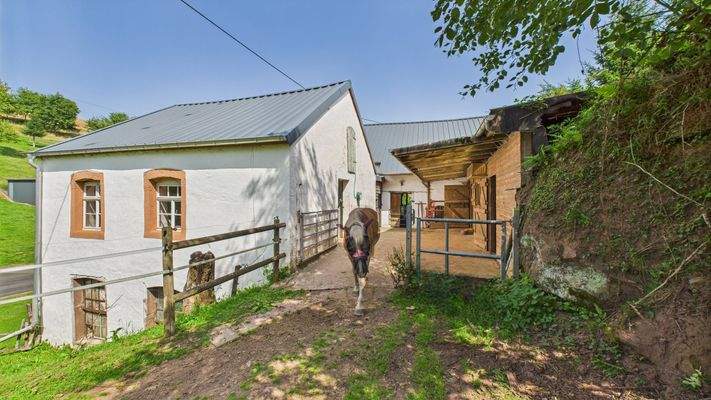 f8ff3cdfec584130ac7f9f2c448f1118_95_CAM01984G0-PR0509-STILL083