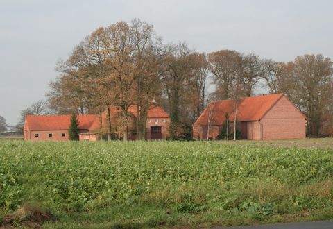 Bruchhausen-Vilsen Bauernhöfe, Landwirtschaft, Bruchhausen-Vilsen Forstwirtschaft