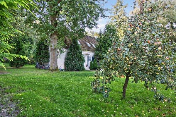 Cottage mit Apfelbaum