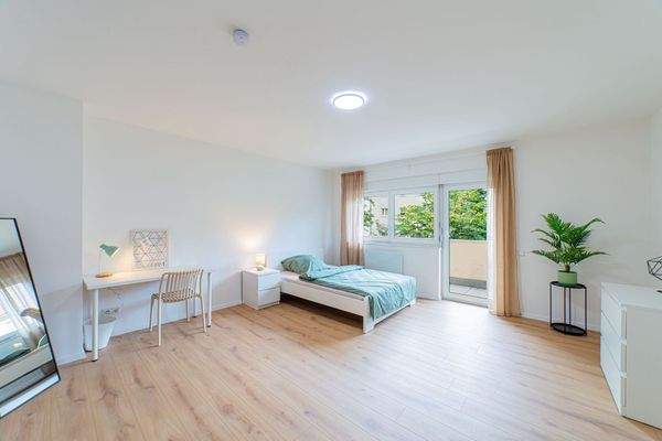 WhatsApp Image 2025-10-12 at 17.00.06 (1)