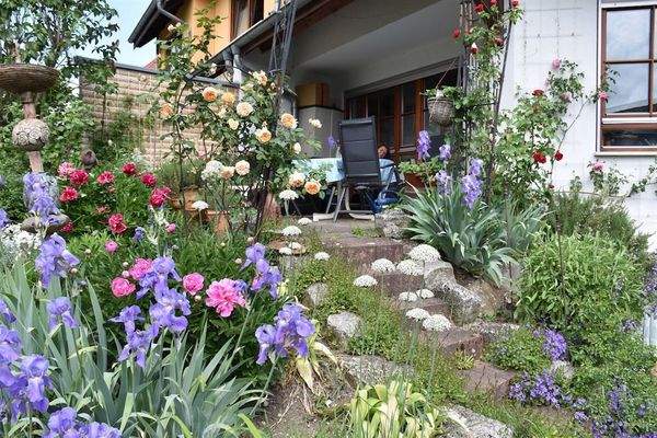 Gartenansicht mit Terrasse