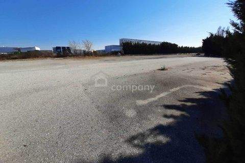 Großhöflein Industrieflächen, Lagerflächen, Produktionshalle, Serviceflächen