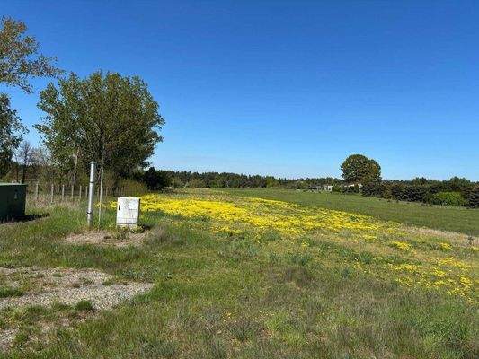 WhatsApp Bild 2025-04-28 um 14.28.17_5f1272be.jpg