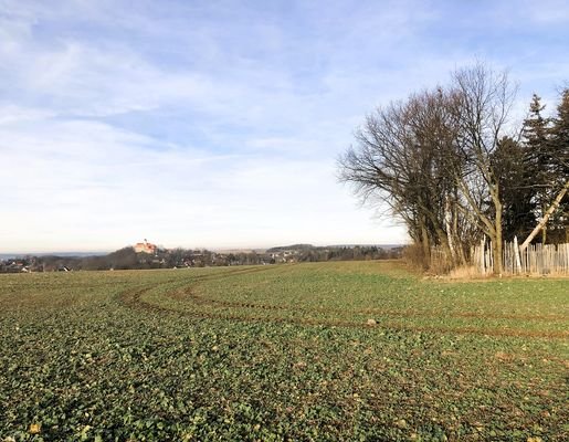 Blick zur Burg Schönfels