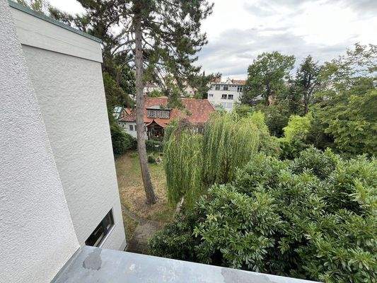 Aussicht in den Garten