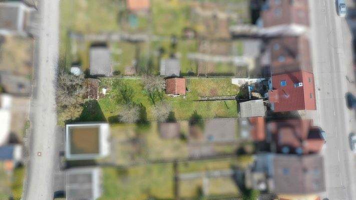 gesamtes Grundstück