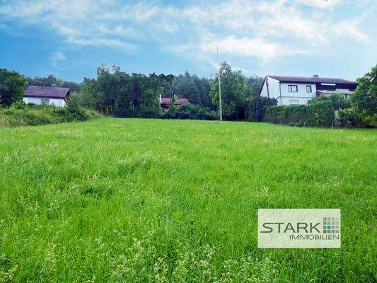 Im Sommer, Archivbild.jpg