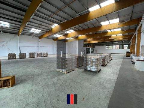 Wedel Halle, Wedel Hallenfläche