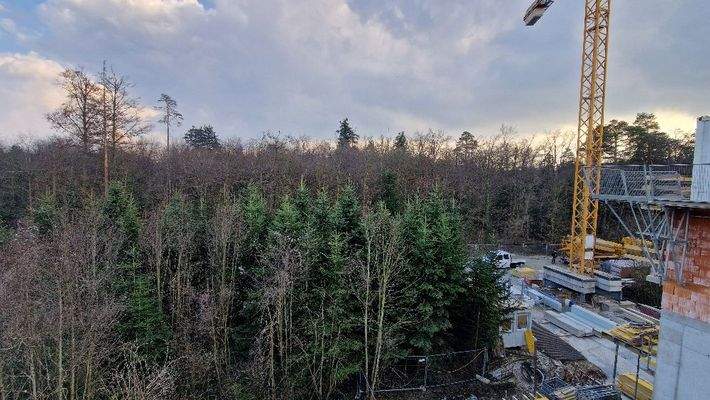 Ausblick Bischofswald