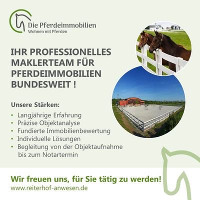 Beitragsvorlage - Immobilien Hobrecht - Pferd - 10