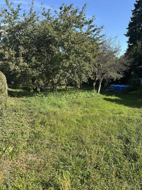 Ölbronn-Dürrn Bauernhöfe, Landwirtschaft, Ölbronn-Dürrn Forstwirtschaft