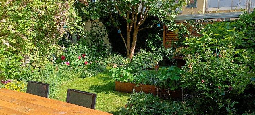 Garten, Sicht von Terasse