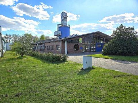 Kellinghusen Halle, Kellinghusen Hallenfläche