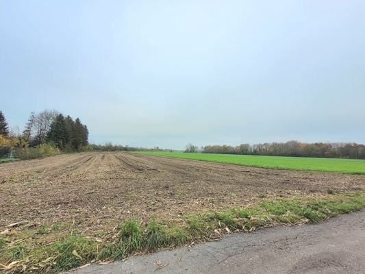 Landwirtschaftliches Grundstück