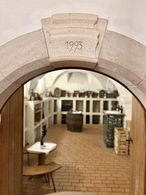 Türbogen Weinkeller