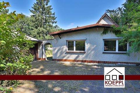 Oranienburg Häuser, Oranienburg Haus kaufen