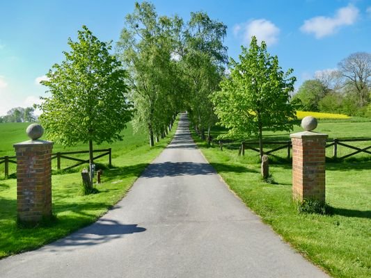 Zufahrt über die Allee