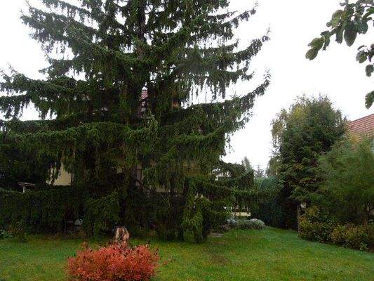 Teilansicht des Gartens