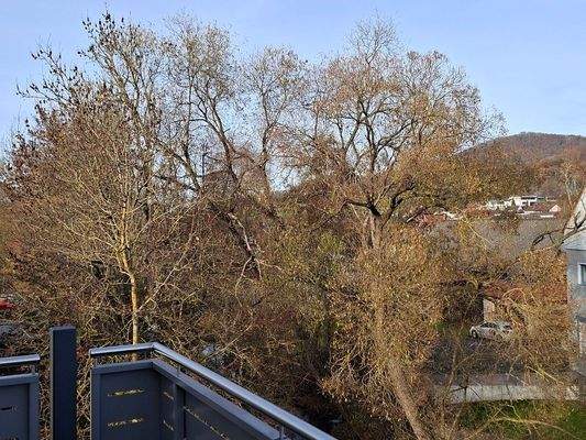 Blick ins Grüne und .....