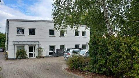 Abenberg Halle, Abenberg Hallenfläche