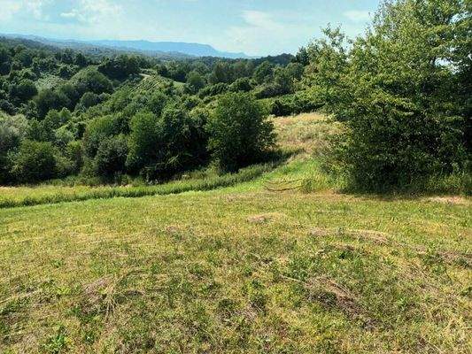 WhatsApp Image 2025-07-14 at 15.32.10