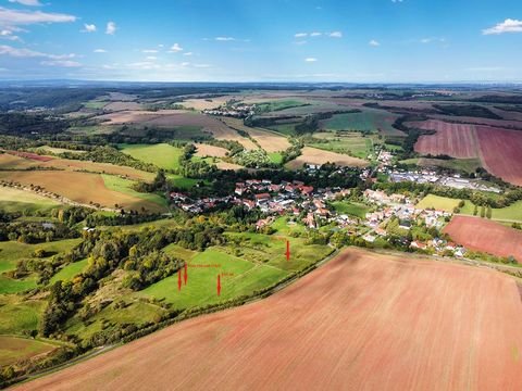 Mansfeld Bauernhöfe, Landwirtschaft, Mansfeld Forstwirtschaft