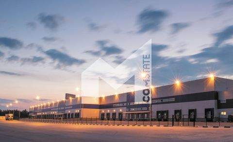 Krefeld Halle, Krefeld Hallenfläche