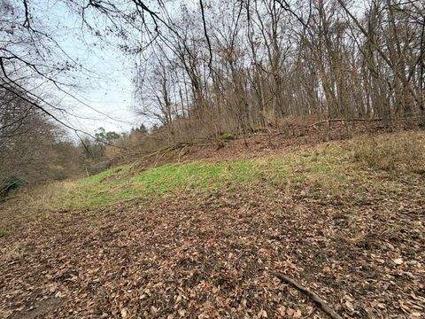 Johannesberg Bauernhöfe, Landwirtschaft, Johannesberg Forstwirtschaft